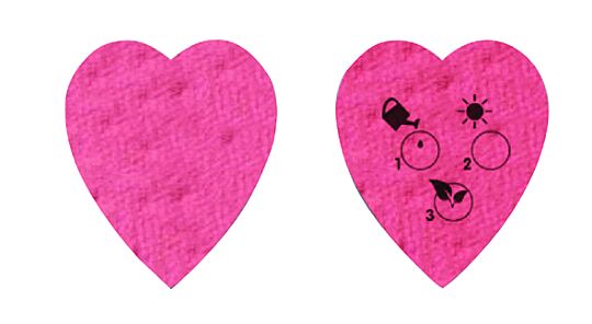 Samenpapier Herz - Set 6