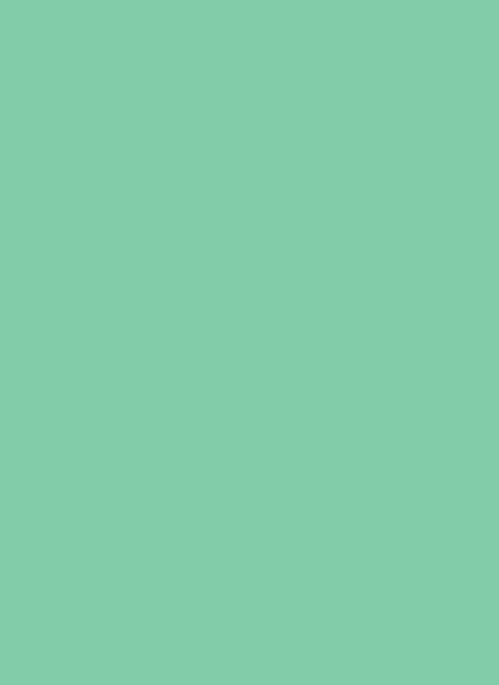 Tonpapier Mint 10er