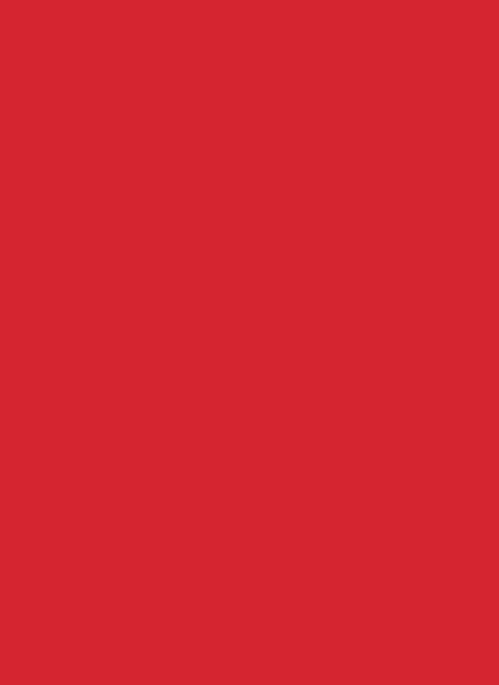 Fotokarton Rot 10er