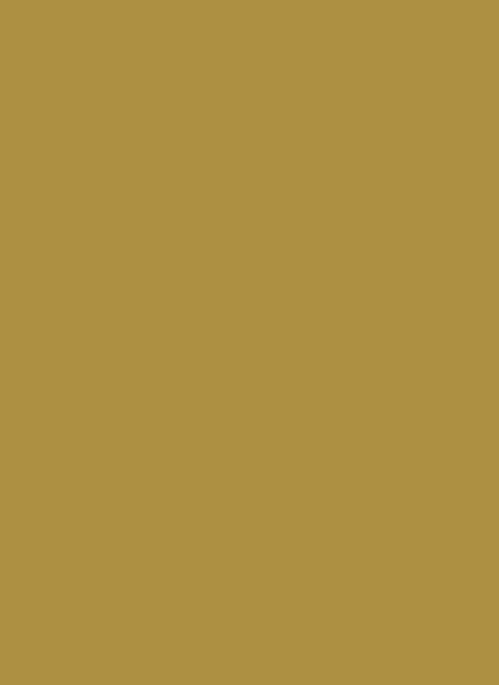 Fotokarton Gold 10er