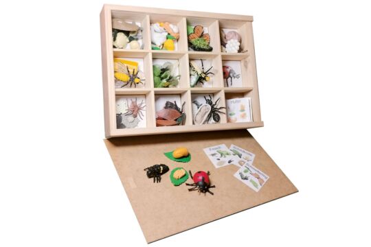 EVO Box - Lebenszyklus Tiere - Set 11
