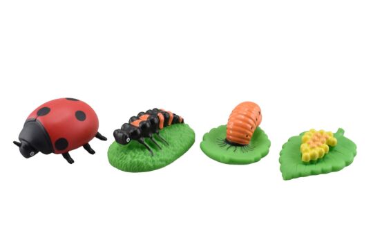 Ecolife Käfer Set 4
