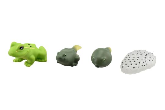 Ecolife Frosch Set 4