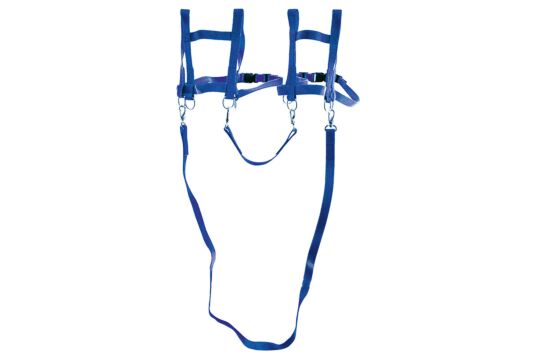Pferdeleine Nylon, Zweispänner