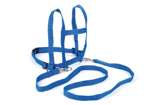 Pferdeleine Nylon blau