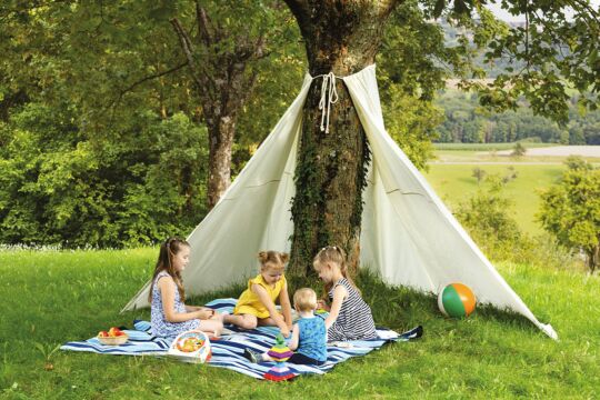Baum - Tipi